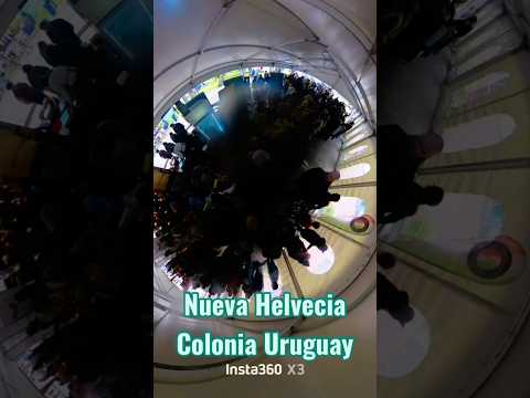 Fiesta del Queso 2026 Nueva Helvecia Colonia Uruguay #insta360x3 #goodwindneverstop