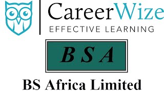 BS Africa Limited