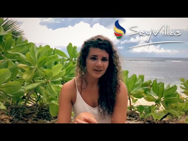 Video - Image - Traumurlaub an einer der schönsten Ecken auf unserer Erde