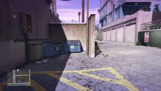 GTA V Cat Dodging Traffic