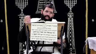 דף היומי עבודה זרה דף ע"ב ע"ב ¤ הרב נתנאל אברז'ל ¤ בית הכנסת "בית מרדכי" (מוסדות תורת דוד) - התמונה מוצגת ישירות מתוך אתר האינטרנט יוטיוב. זכויות היוצרים בתמונה שייכות ליוצרה. קישור קרדיט למקור התוכן נמצא בתוך דף הסרטון