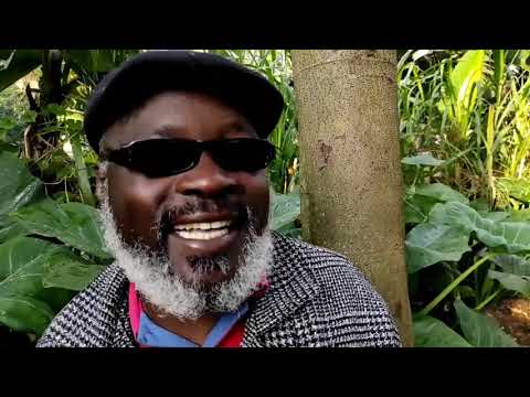 CHINGERO CHIAITO NA PAPA SIKO THE BIRD LIVE - EBITINA,GOSUKIA OROBEBE,EMOKO, BANTO BAITO