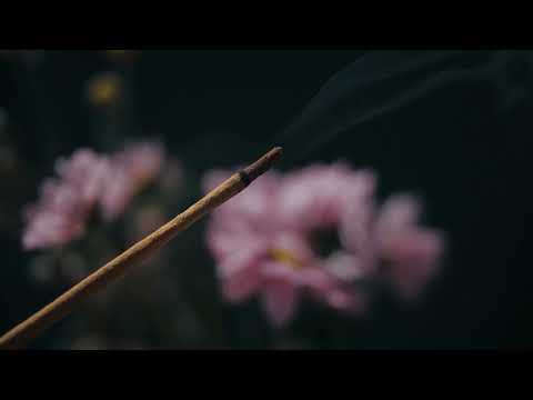 Taisen Deshimaru: Expansion of Consciousness