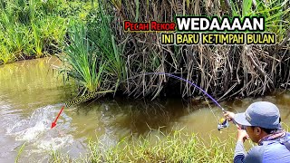 PECAH REKOR 2023!!! Mancing ikan di sungai liar ha