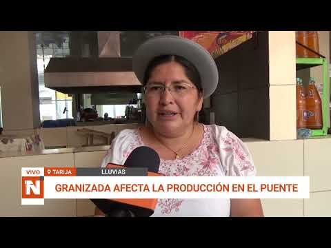 GRANIZADA DEJA 200 FAMILIAS DAMNIFICADAS EN EL PUENTE TARIJA