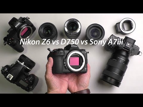 Nikon Z6 vs Sony A7iii vs D750