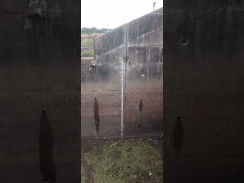 dique de laguna blanca chaco