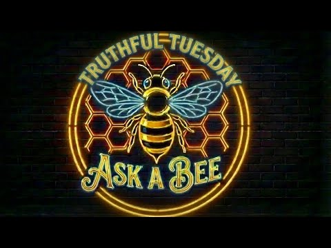 BBTV | Truthful Tuesday — Saying the Quiet Part Out Loud