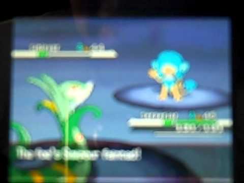 Pokemon Black LP Episode 39: The harsh road to Victory! (1/2)