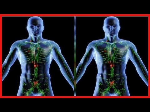 5 pflanzliche Lösungen zur Reinigung des Lymphsystems