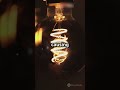 How Does A Filament Bulb Work Quick Science Explainer
