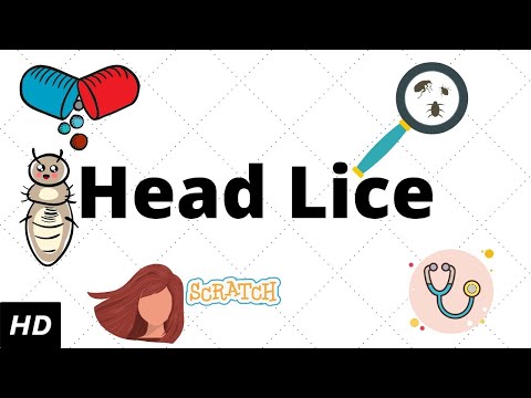 HEAD LICE, Causes, Signs and Symptoms, Diagnosis and Treatment.