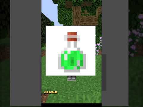 TimiCraft's Useless Potion: You'll NEVER Believe What It Does!