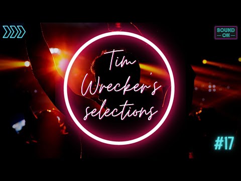 Tim Wrecker's Selections #17 - THE BEST EDM, FESTIVAL & CLUB MUSIC | Popular Mashups & Remixes