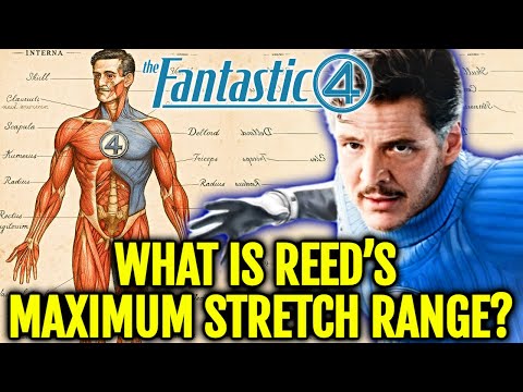 Mr. Fantastic Anatomy Explained -  What Keeps His Organs Functional? Does His Skeleton Even Exist?