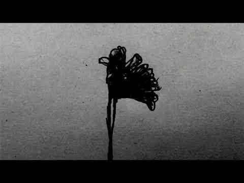 Lenta 207 - Akne (Official Audio)