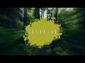 Padi Sudahlah Lyric Video