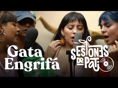 Colectiva Gata Engrifá: Sesiones de Patio