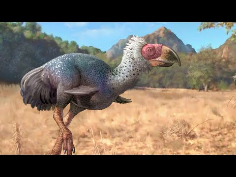 Terror Bird - The Descendant of the Dinosaurs / Documentary
