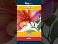 bloom - 开花 video thumbnail
