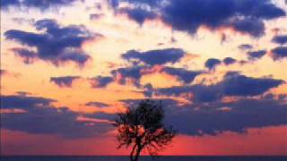 Stellar Kart - Only One