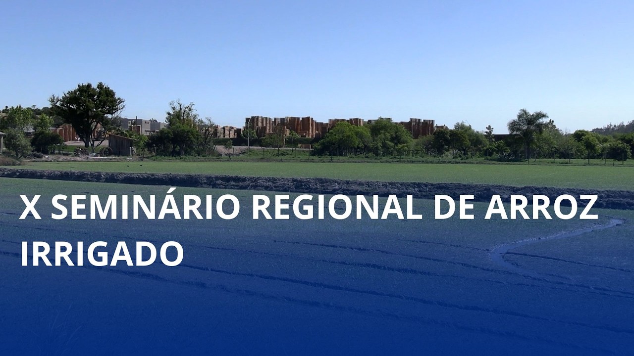 X Seminário Regional de Arroz Irrigado. Evento é nesta quinta (16), em Rio do Oeste