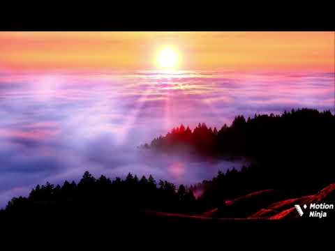 Rudeboy ft Gee jay-bank alert (official colours music video)