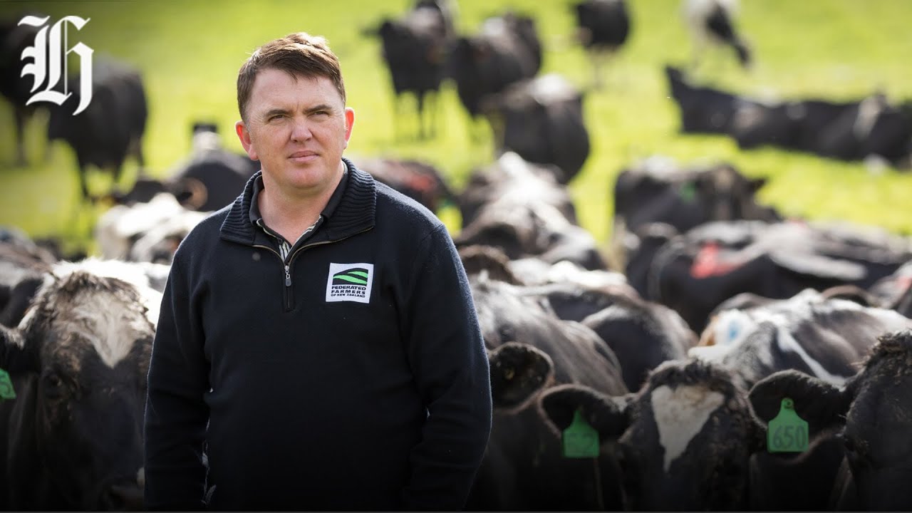 Federated farmers president on tour with Luxon; Global Dairy Trade auction | Herald NOW