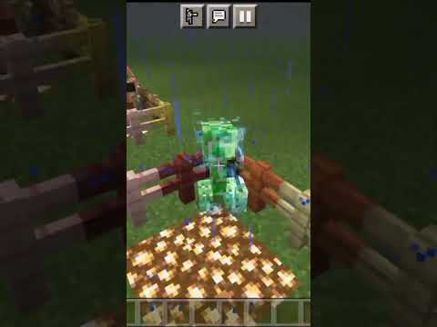 Insane Minecraft Mob Transformations! #31