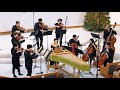 Johann Sebastian Bach: Brandenburg Concerto No. 3 in G Major • Kaleidoscope Chamber Orchestra