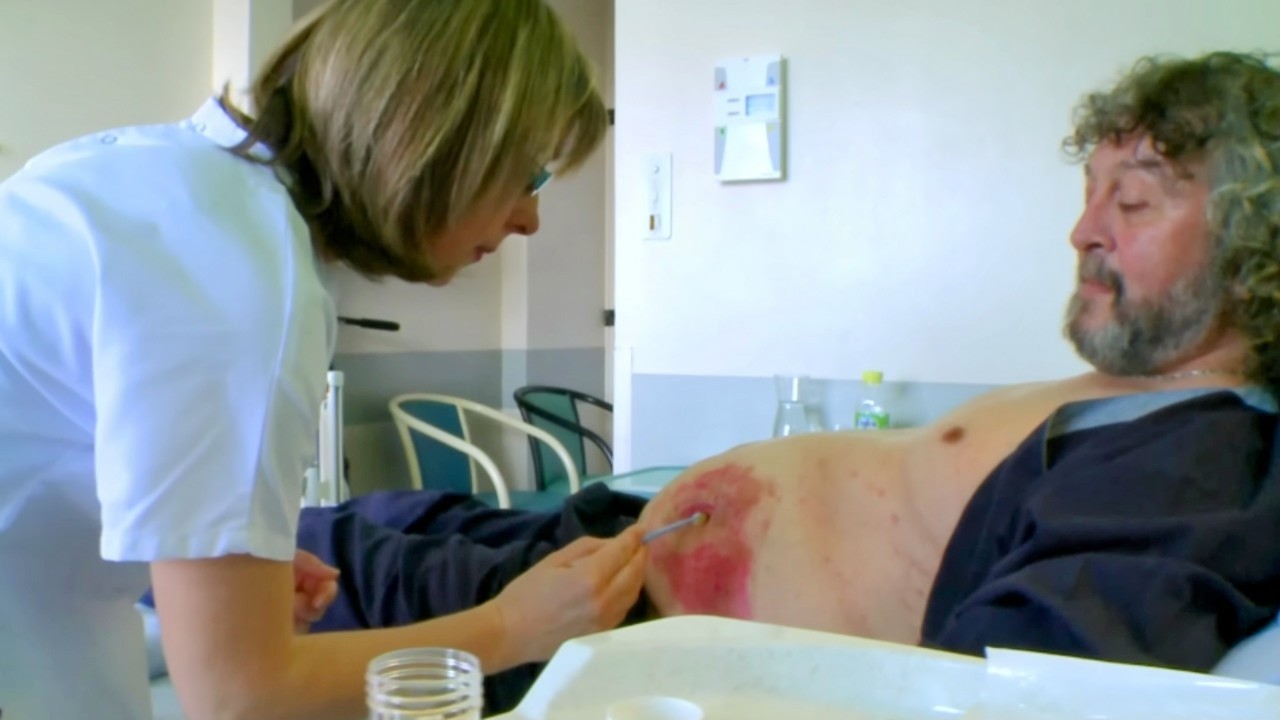 Bees are the new healers