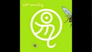 dredg - zebraskin