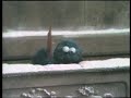 Classic Sesame Street Cookie Monster Imagines Snow Is Cookies 1972