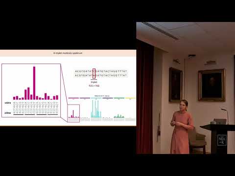 Németh Eszter: A DNS javítási hibákkal terhelt tumorok mutációs mintázatai