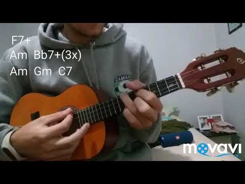 Minha Vida - Sambô