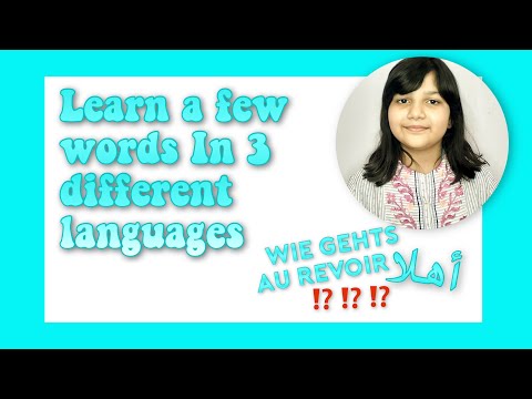 Learn a few words in 3 different languages | Lesson 1 | Taseens World