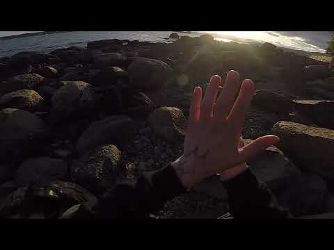 Sophia Stel - "Static" (Official Visualizer)