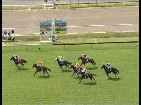 License To Steal (Racehorse) - Sunshine Coast 15/03/09 1st Win
