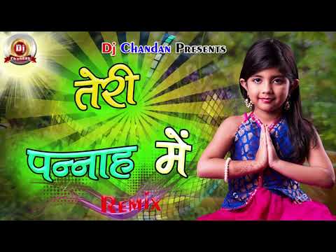 Teri Panah Me Hame Rakhna (Love Song) Dj Chandan Basdiha