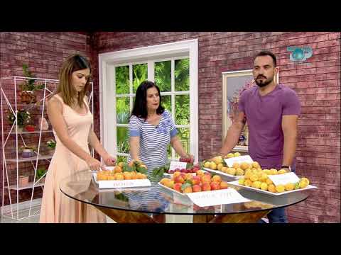 Ne Shtepine Tone, 5 Qershor 2018, Pjesa 2 - Kajsia