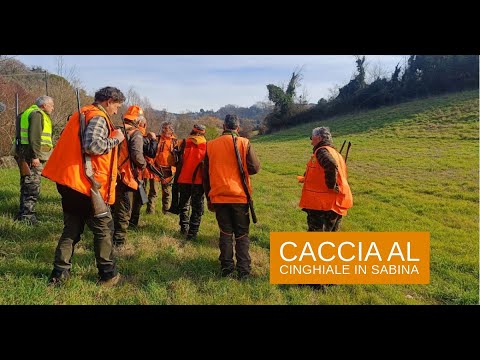 caccia-al-cinghiale: Caccia al cinghiale in battuta 2024: Tornado in Sabina