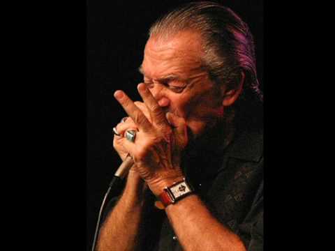 The Blues Overtook Me - Charlie Musselwhite