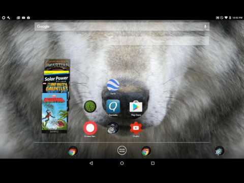 Insanity wolf vs. courage wolf rap battle