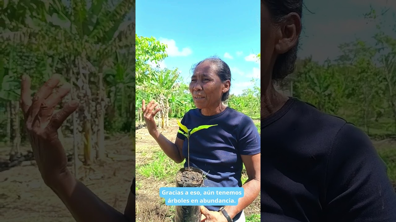 Naturaleza sana, gente sana | Día Mundial de la Salud #Short