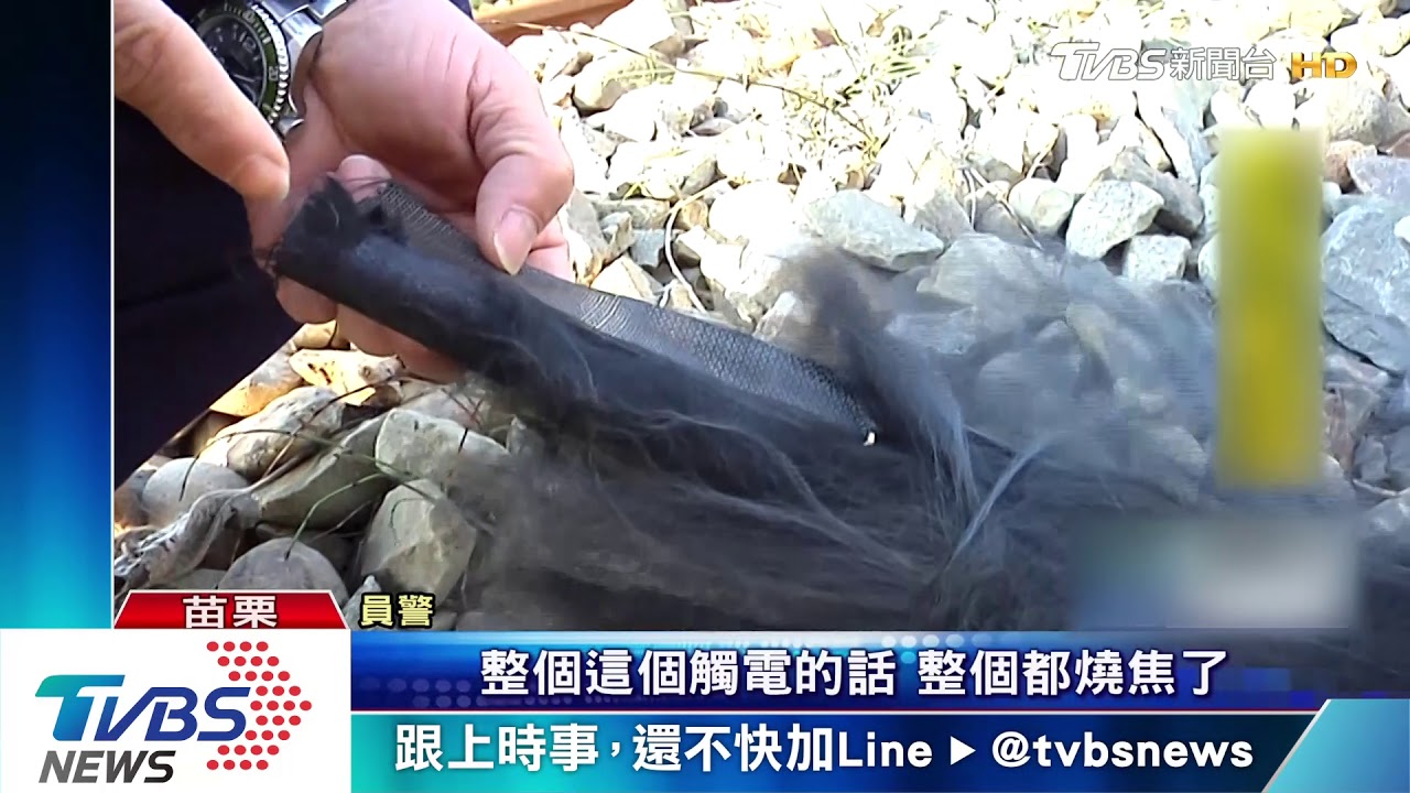婦人釣竿觸2萬5千伏特電車電線　恐截肢