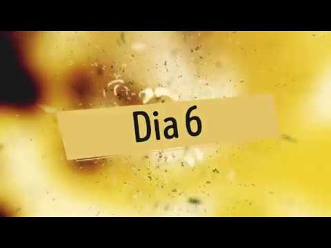 RFM SOMNII 2019 Dia 6  (Dj snake, Jay Hardway, blasterjaxx, etc)