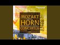 Concerto in D Major K. 412: I. Allegro