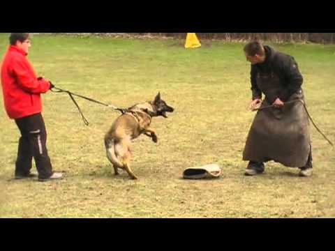 KATHERINE AYKMAR - protection - 6 months, helper: Marek Černý