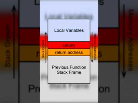 buffer overflow protection ("canary")