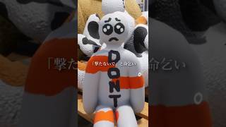 「撃たないで」とお願いする作戦 #めっちゃカメレオン